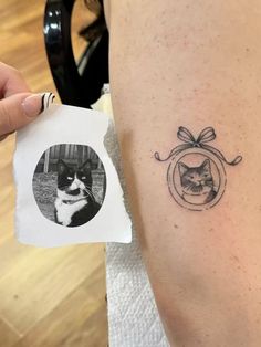 a cat with a bow on its head is next to a woman's leg