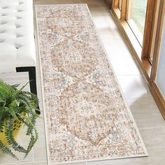 a large area rug in the middle of a living room next to a couch and potted plant