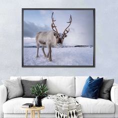 a white reindeer standing in the snow with antlers on it's back legs