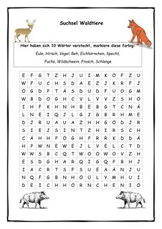 a worksheet with animals and letters to help kids learn the letter word search