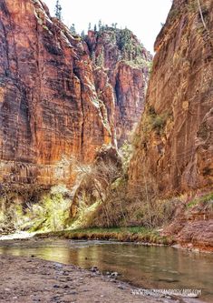 a river flowing through a canyon surrounded by tall rocks and trees on the side of it