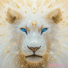 a white lion with blue eyes and gold accents