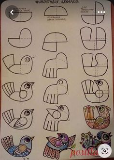 a sheet of paper that has different types of birds on it