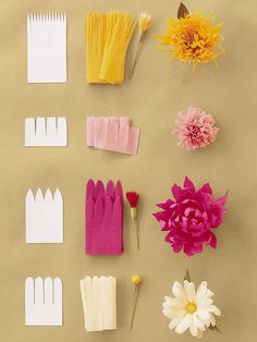 paper flowers and combs laid out on a table