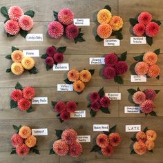 several different types of flowers are displayed on a table with name tags attached to them