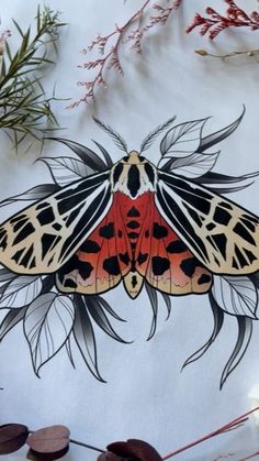 an orange and black moth sitting on top of a table