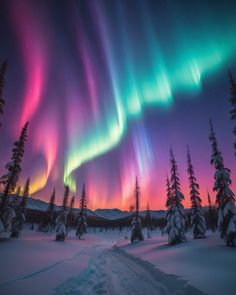 an aurora bore is seen in the sky above snow covered trees