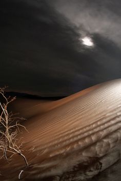 a lone tree in the middle of a desert with dark clouds and light shining on it