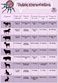 a table with different types of cats and dogs on it, including the names of each cat