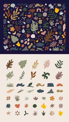 an assortment of different shapes and sizes of plants