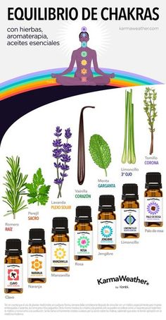 Equilibre sus chakras con cristales curativos, alimentos Herbs And Plants, Chakra Health, Reiki Healer, Chakra Affirmations, Reiki Symbols, Oil Perfume