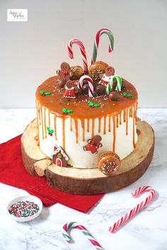 there is a cake that has been decorated with candy canes and candies