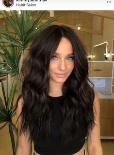 Brown Hair Inspiration, Dark Brunette Hair, Brown Hair Looks, Brown Hair Inspo, Brunette Hair With Highlights, Chocolate Truffle, Hair Color And Cut, Hair Inspiration Color, Hair Color Dark