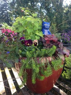 an assortment of flowers in a pot on a wooden table outside with trees and bushes