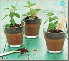 three small cups filled with dirt and plants