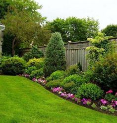 a lush green yard with flowers and trees