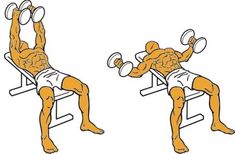 the man is doing exercises with dumbbells on his chest and back while sitting in a chair