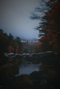 the words real is rare are displayed in front of trees and rocks on a dark, foggy day