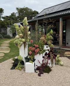 several different types of plants in front of a house