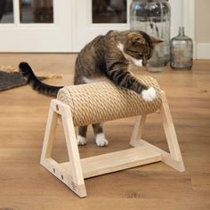 a cat standing on top of a wooden scratching post with its paw in the air