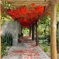 an outdoor covered walkway with red flowers on the ground and greenery in the background