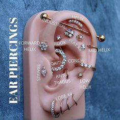 the ear piercings are labeled in different languages and shapes, including letters that spell out their names