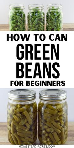 three jars filled with green beans and the words how to can green beans for beginners