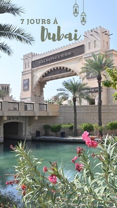 the entrance to an amusement park with pink flowers in front of it and text overlay that reads 7 hours a dubai