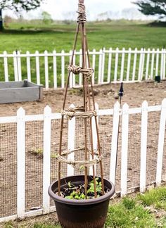 a potted plant in front of a white picket fence