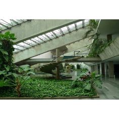 the inside of a building with plants growing on the ground and stairs leading up to it