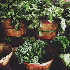 several wooden baskets filled with green vegetables