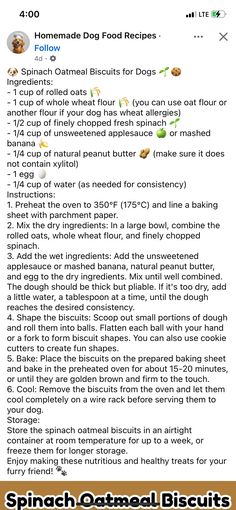 a recipe for homemade dog food