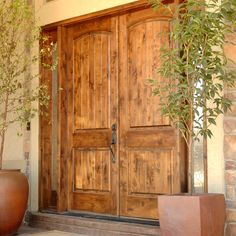 two potted plants sit in front of a large wooden door with glass panels on the side