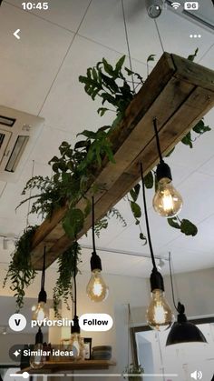 some lights hanging from a wooden beam with plants growing on it in the middle of a room