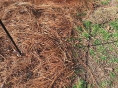 a pile of brown grass next to a fire hydrant