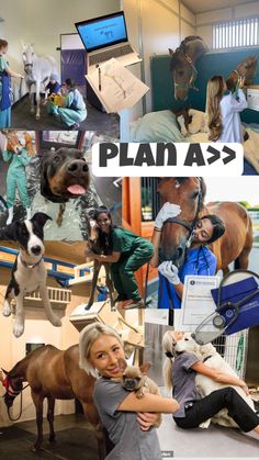 #vet#animal#horse#dogs#goals Equine Vet Tech Aesthetic, Vet Life Dream Job, Equine Veterinary Aesthetic, Vet Job Aesthetic, Equine Veterinarian Aesthetic, Large Animal Vet Aesthetic, Small Animal Vet, Vet Vision Board, Exotic Veterinarian Aesthetic