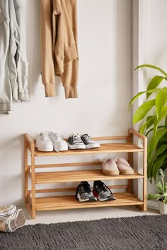 there are shoes on the shelf in this room and one is next to a potted plant