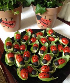 ladybug cupcakes are arranged on lettuce leaves and placed in flower pots