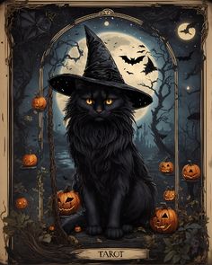 a black cat wearing a witches hat sitting in front of a full moon with pumpkins