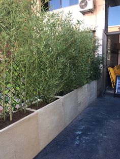 a planter filled with lots of green plants next to a building