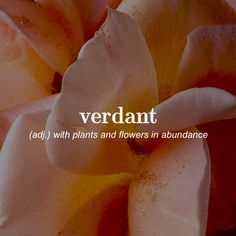 a close up of flowers with the words, verdant