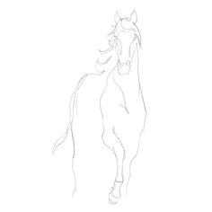 a line drawing of a horse running