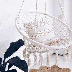 a hammock hanging from the ceiling next to a potted plant and coasters