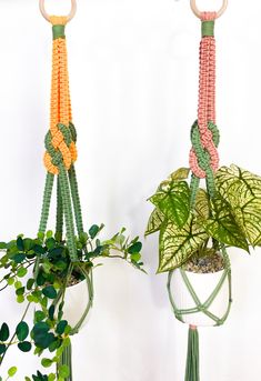 two hanging planters with plants in them, one is green and the other is orange