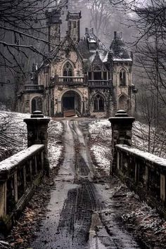 Dark Victorian House, Creepy Abandoned Places, Abandoned Cathedral, Spooky Mansion, Gothic Manor, Gothic Mansion, Gothic Castle