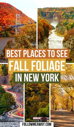 the best places to see fall foliage in new york