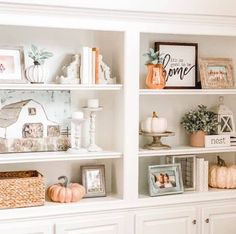 a white bookcase filled with lots of books next to a wall covered in pictures and pumpkins