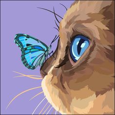 a close up of a cat with a butterfly on it's nose in front of a purple background