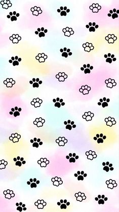 a colorful background with black and white dog paw prints on the bottom half of it