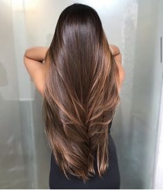 Long Straight Hair Highlights, Dark Brown Highlights On Brown Hair, Brown Balayage Straight Hair, Baby Lights Caramelo, Warm Spring Hair Color, Brown Hair Inspiration